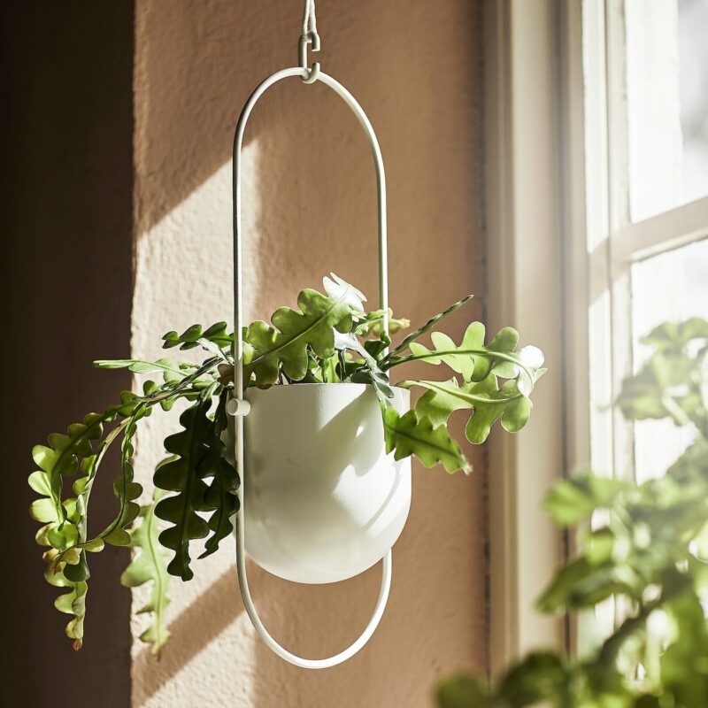 IKEA CHILISTRAN WISZĄCA DONICZKA DO WEWNĄTRZ/NA ZEWNĄTRZ BIAŁY ROZMIAR 12CM - obrazek 2