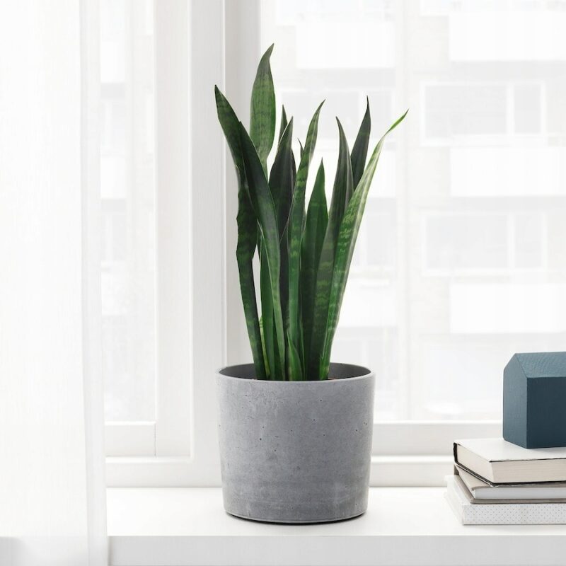OSŁONA DONICZKI DONICZKA BOYSENBAR SZARA 15 CM - obrazek 2