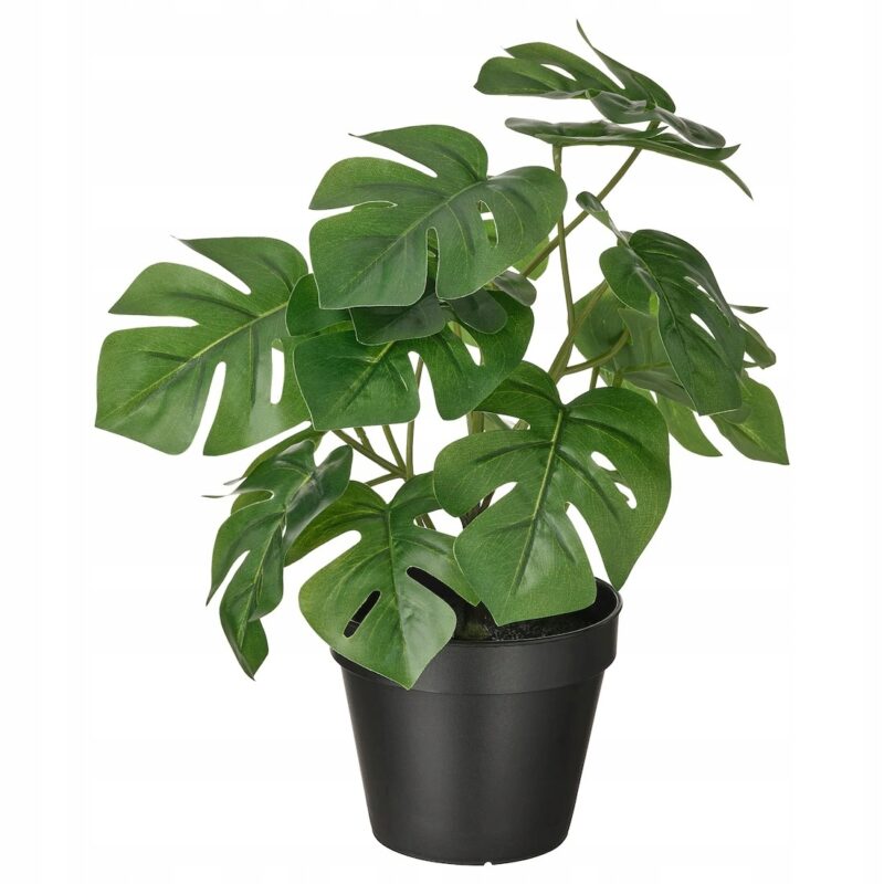 SZTUCZNA ROŚLINA W DONICZCE MONSTERA 12 cm