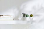 IKEA FEJKA SZTUCZNA ROŚLINA SUKULENT 6 CM - 3 SZT. - obrazek 4