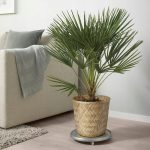 IKEA KLYNNON OSŁONKA DONICZKI BAMBUSOWA 24 CM - obrazek 3