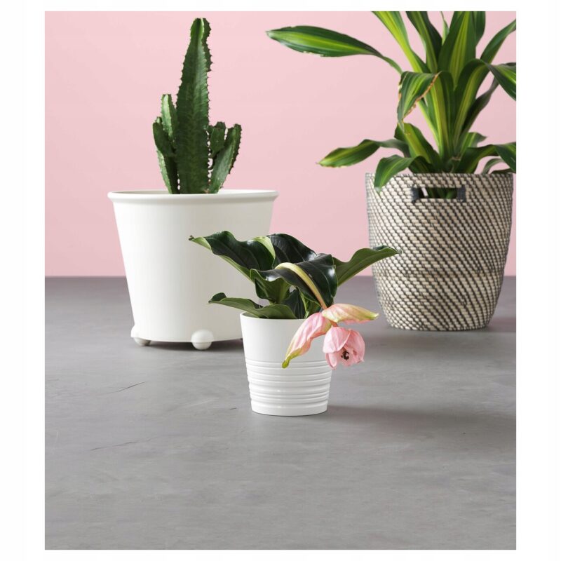 IKEA PS FEJO DONICZKA SAMONAWADNIAJĄCA, BIAŁY, 32 CM - obrazek 7