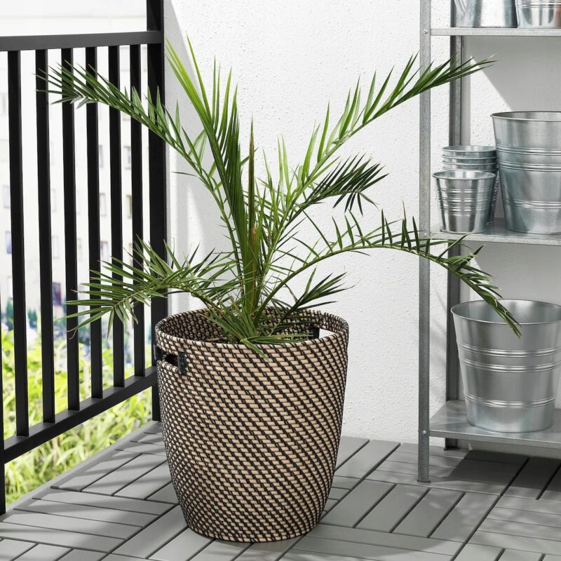 OSŁONA DONICZKI DONICA RAGKORN 32 CM - obrazek 2