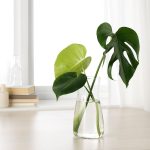 IKEA KARAFF KARAFKA SZKLANA BEZBARWNA 1 L - obrazek 4