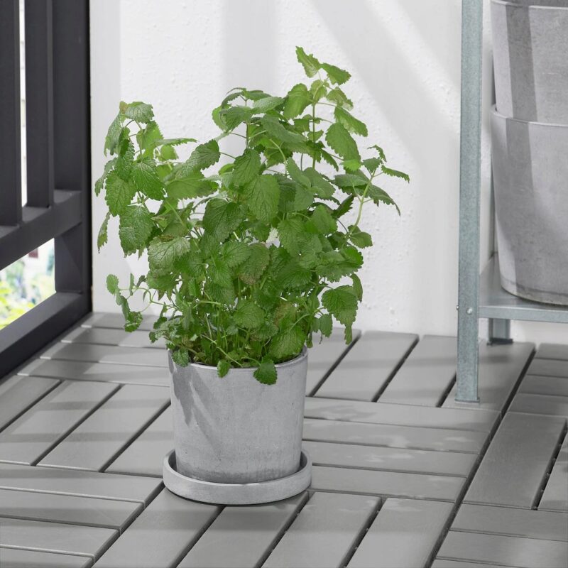PODSTAWKA DONICY BOYSENBAR SZARA 15 CM - obrazek 2