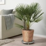IKEA FRIDFULL OSŁONKA DONICZKI HIACYNT WODNY 24 CM - obrazek 3