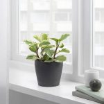 OSŁONA DONICZKI DONICZKA IKEA PERSILLADE 12 CM - obrazek 2