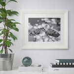 IKEA EDSBRUK RAMKA DREWNIANA BIAŁA 40x50 CM - obrazek 2