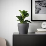 IKEA PERSILLADE OSŁONA DONICZKI CIEMNA SZARA 15 CM - obrazek 2