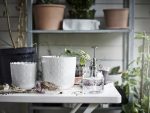 IKEA SESAMFRON SPRYSKIWACZ DO ROŚLIN, SZKŁO, 250ML - obrazek 2