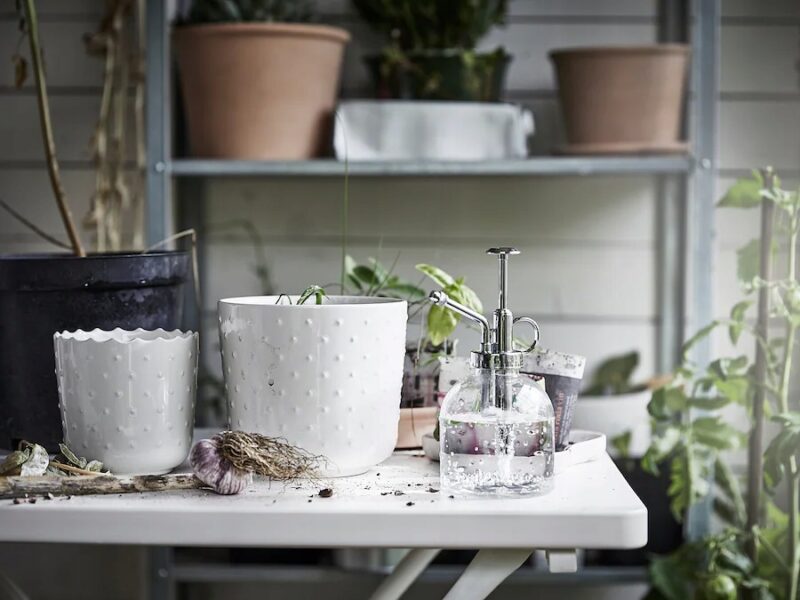 IKEA SESAMFRON SPRYSKIWACZ DO ROŚLIN, SZKŁO, 250ML - obrazek 2