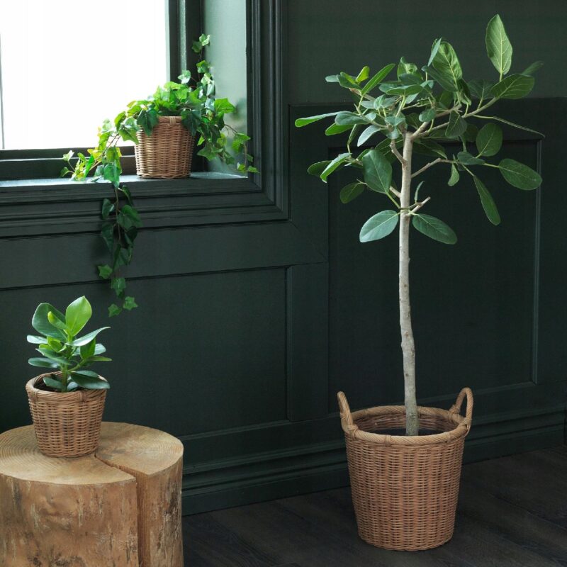KAKTUSFIKON OSŁONKA DONICZKI, RATTAN,ROZMIAR 12 CM - obrazek 4