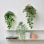 IKEA FEJKA SZTUCZNA ROŚLINA Z UCHWYTEM - 3 SZT. - obrazek 2