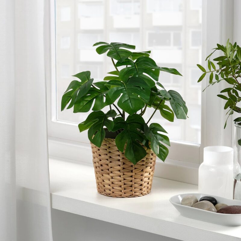 SZTUCZNA ROŚLINA W DONICZCE MONSTERA 12 cm - obrazek 2