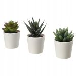 IKEA FEJKA SZTUCZNA ROŚLINA SUKULENT 6 CM - 3 SZT.
