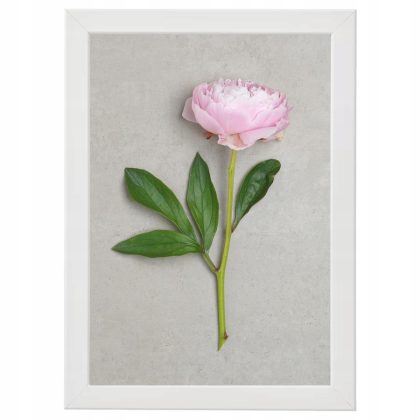 44a0c301f28a83ed5cb759b005a6fbba