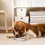 3e1bc800bfe07169b2492a92a3daecd4